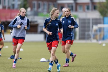 Bild 149 - wBJ Hamburger SV - FC Suederelbe : Ergebnis: 9:0